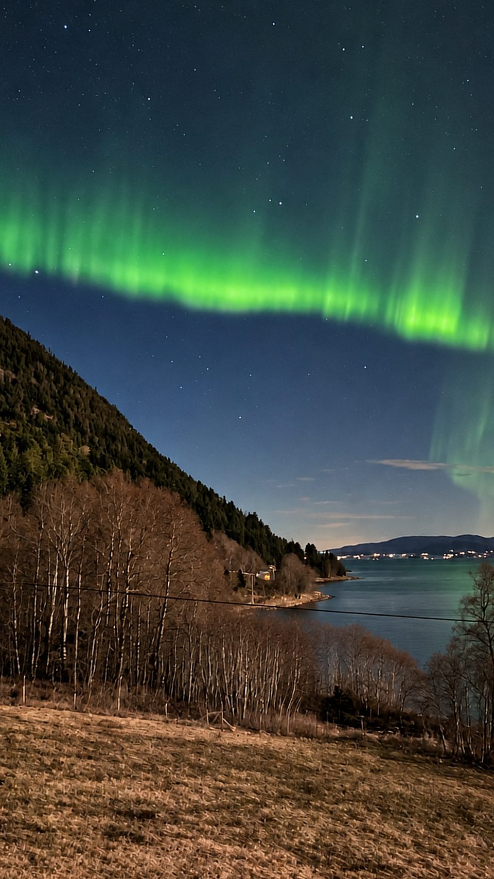 Green northern lights arcing over the fjord and birch trees outside the house